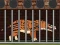 Spel  Andrewsarchus Release from Cage online