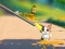 Spel Cat Challenge online