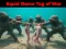 Spel Squid Game Tug Of War online
