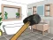Spel Smash The Room To Pieces online