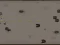 Spel Cyborg Ii online