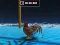 Spel Animal Impossible Track Rush online