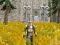 Spel Axe Of The Ancients Dwarven Fury online