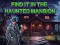 Spel Find It In The Haunted Mansion online
