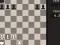 Spel Fun Chess Puzzles! online