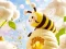 Spel Find The Differences: Little Bee's Adventure online