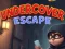 Spel Undercover Escape online