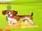 Spel Bunny Key Quest online
