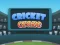 Spel Cricket Craze online