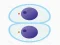 Spel Cutting master online