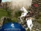 Spel Ertugrul Gazi Horse Sim online