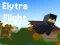 Spel Elytra Flight online