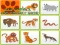 Spel Wild Animals Kids Memory game online