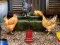 Spel Poultry Farm Easter Escape online