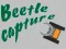 Spel Beetle Capture online