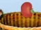 Spel Harvesting online