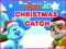 Spel Nick Jr. Christmas Catch online