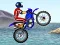 Spel FMX team online