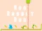 Spel Run Rabbit Run online
