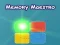 Spel Memory Maestro online