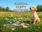 Spel Playful Puppy Outdoor Puzzle online