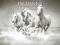 Spel Horses Puzzle online