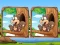 Spel Jungle 5 Diffs online