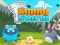 Spel Bunny Storm online