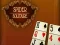 Spel Spider Solitaire online