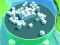 Spel Roller Magnet online