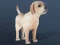 Spel IDLE Pet online