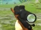 Spel Hunter 3D online