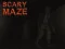 Spel Scary Maze online
