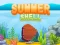 Spel Summer Shell online