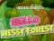 Spel Hidden Objects Hello Messy Forest online