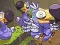 Spel Save The Dodos online