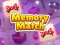Spel Memory Match online