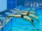 Spel Swimming Pool Race online