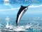 Spel Azure Sea Fishing online