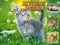 Spel Kittens Jigsaw online
