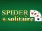 Spel Spider Solitaire online