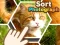 Spel Sort Photograph online