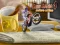 Spel Bike Mania 4 Micro Office online