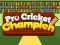 Spel Pro Cricket Champion online