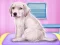Spel Labrador at the doctor salon online