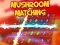 Spel Mushroom matching online