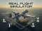Spel Real Flight Simulator online