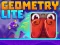 Spel Geometry Lite online