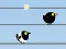 Spel Gone with the Birds online