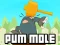 Spel Pum-Mole online